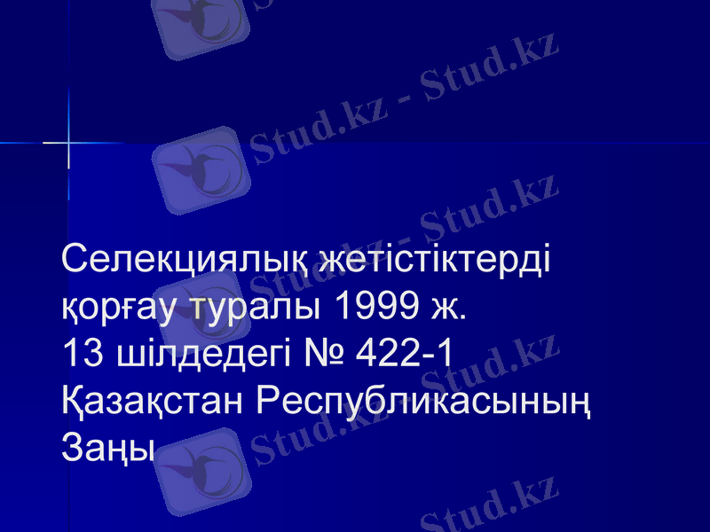 Slide 1