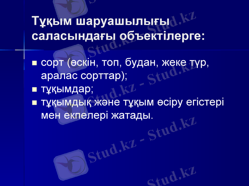 Slide 11