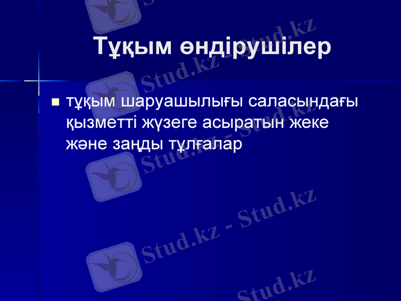 Slide 13
