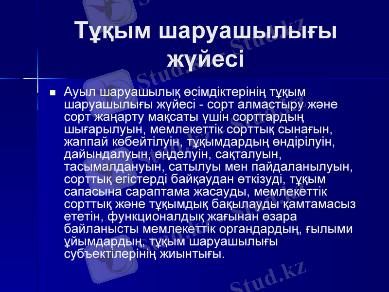 Slide 19