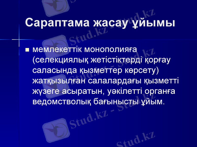 Slide 6