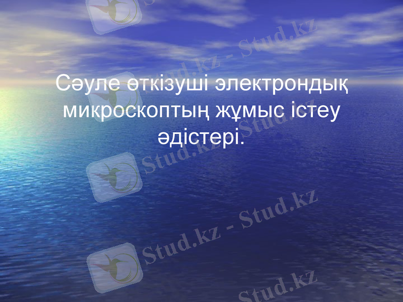 Slide 1