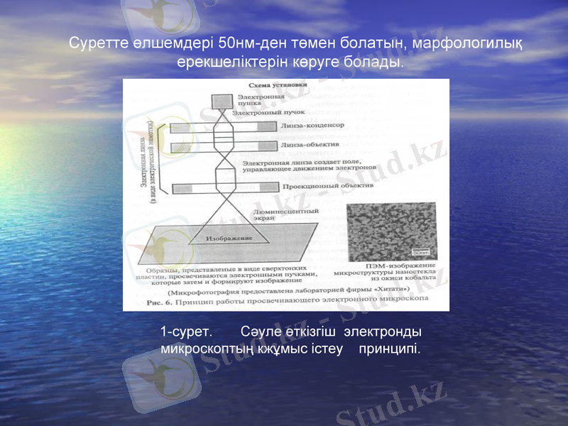Slide 9