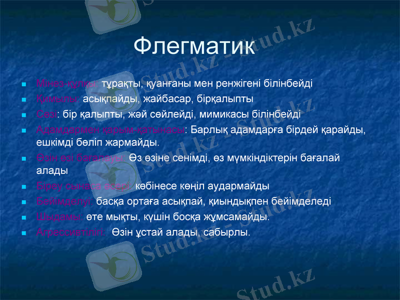 Slide 6