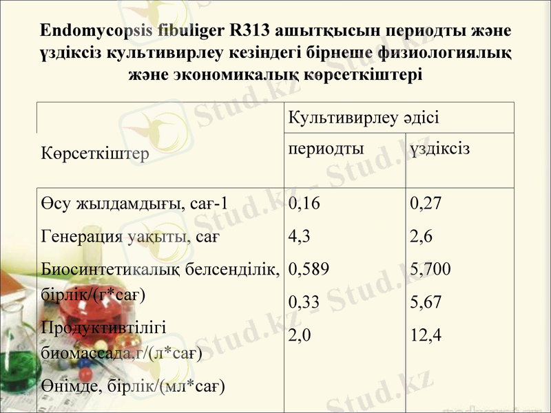 Slide 13