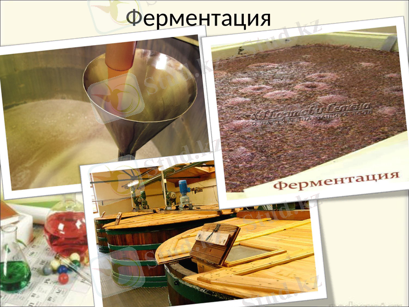 Slide 7