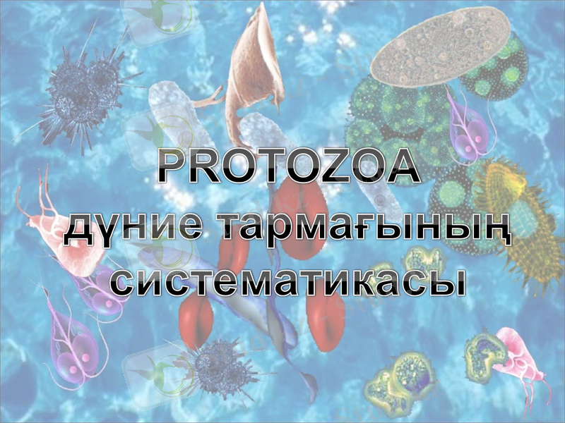 Slide 1