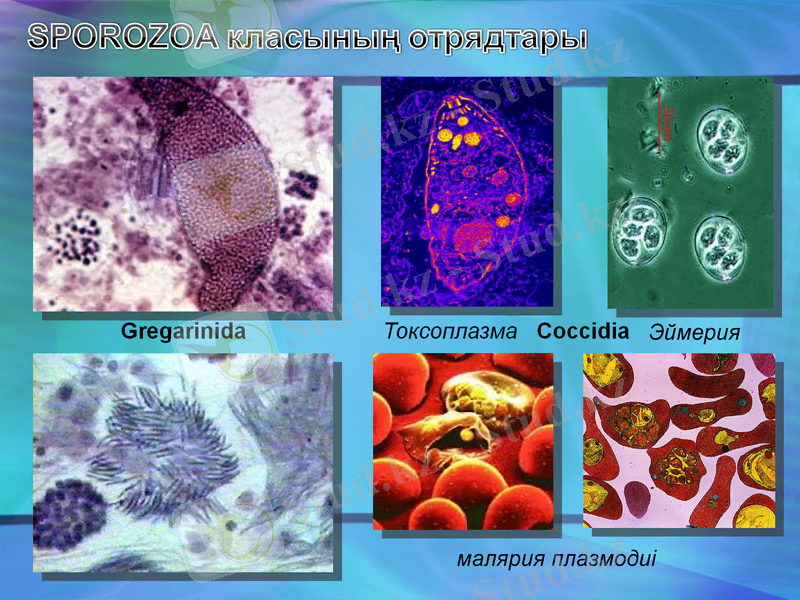 Slide 13