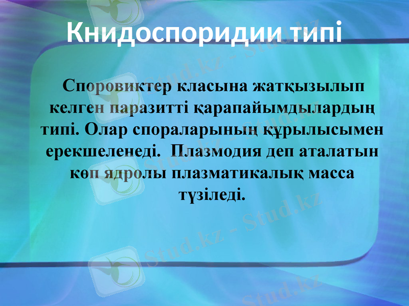 Slide 14