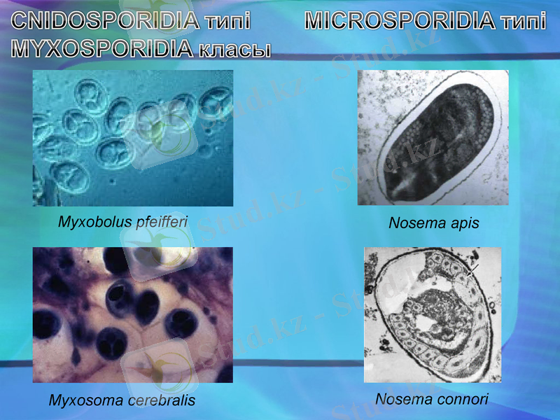 Slide 15