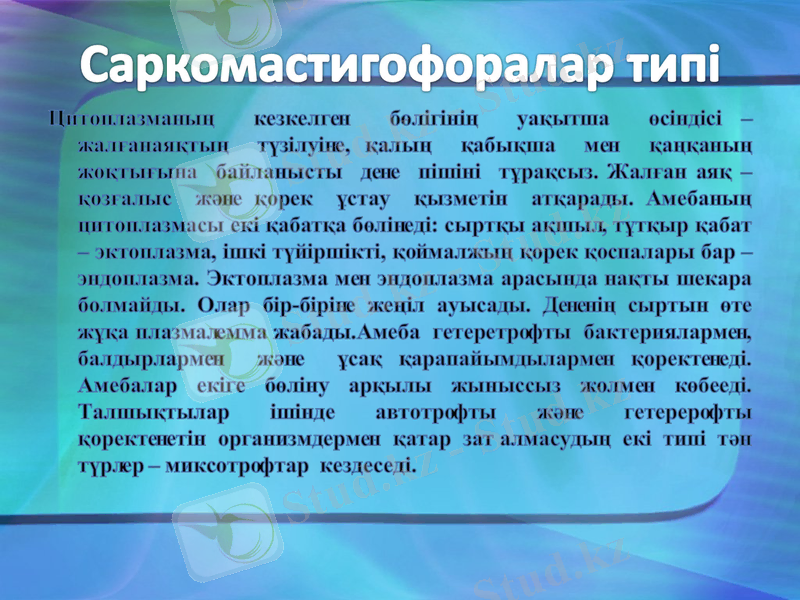 Slide 6