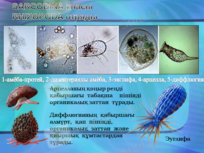 Slide 7