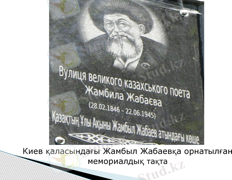 Slide 5