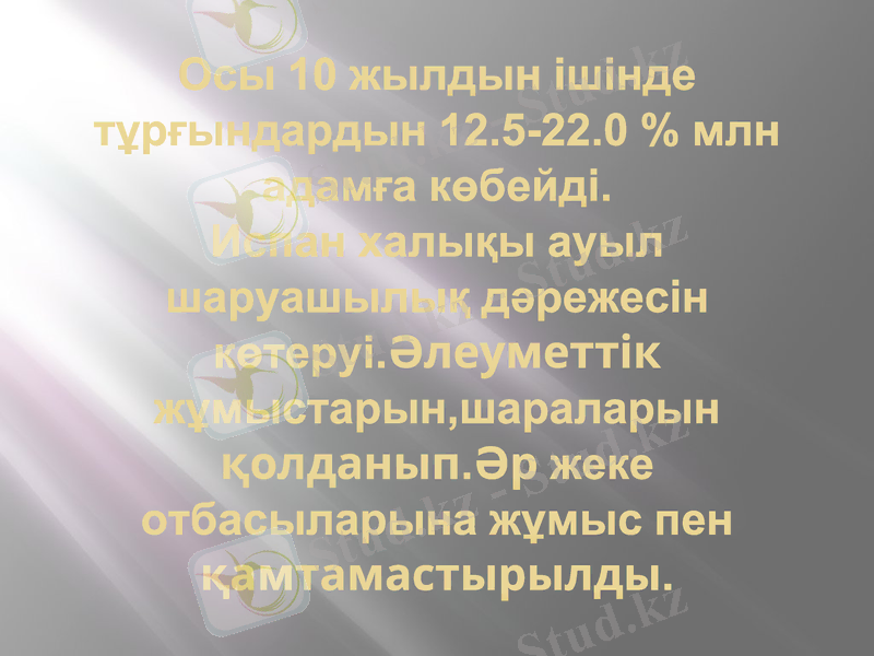 Slide 11