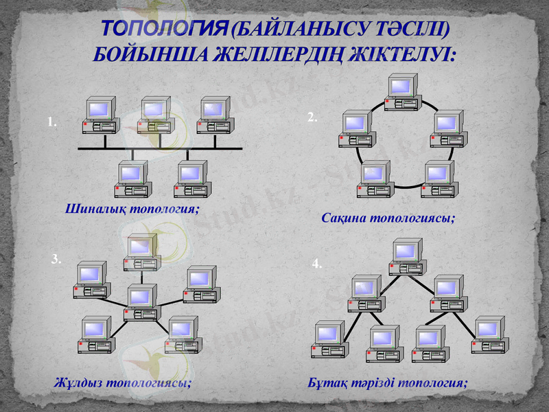 Slide 10