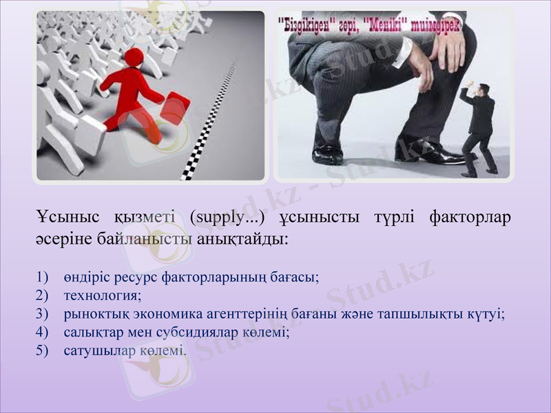 Slide 11