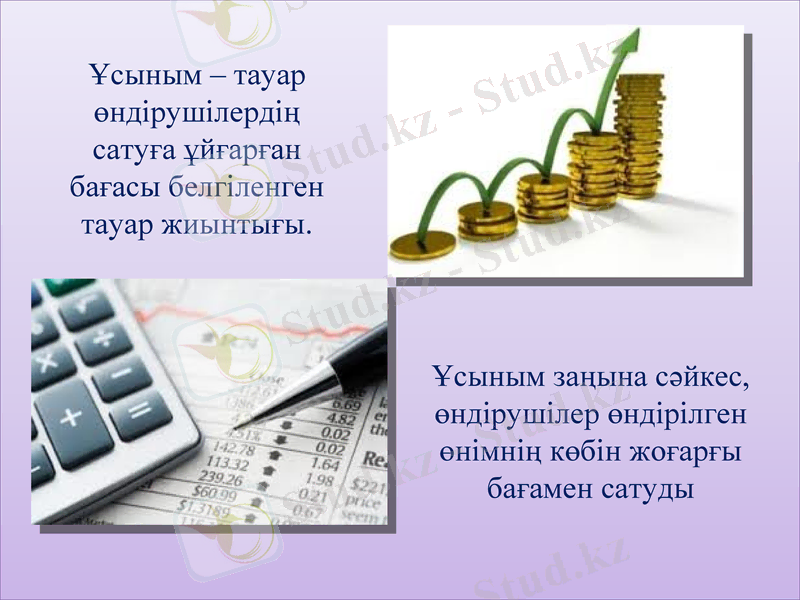 Slide 9
