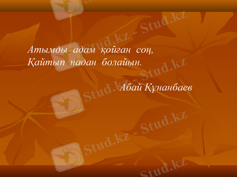 Slide 8