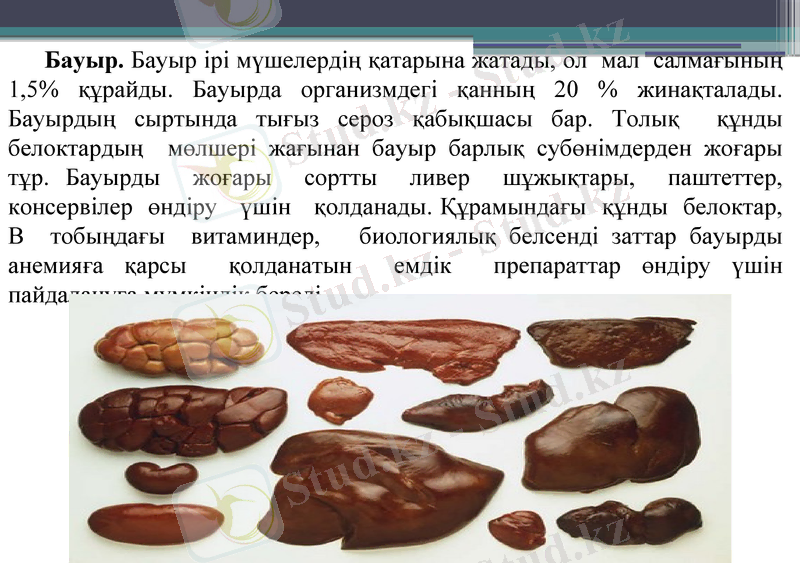 Slide 15