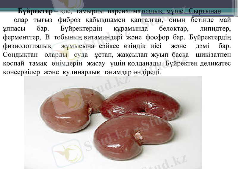 Slide 16