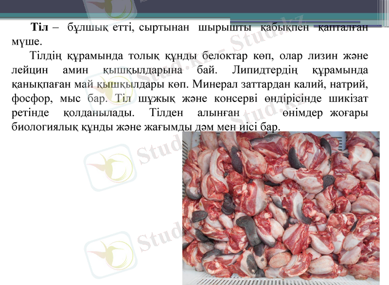 Slide 17