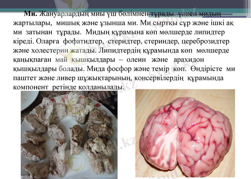 Slide 18