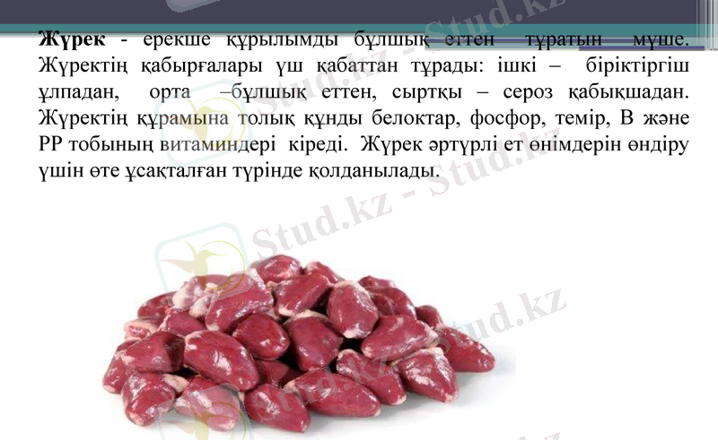 Slide 19