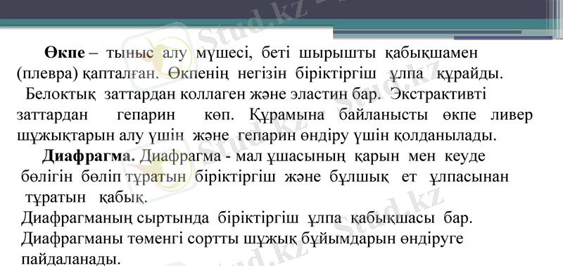 Slide 22