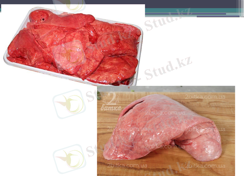 Slide 23