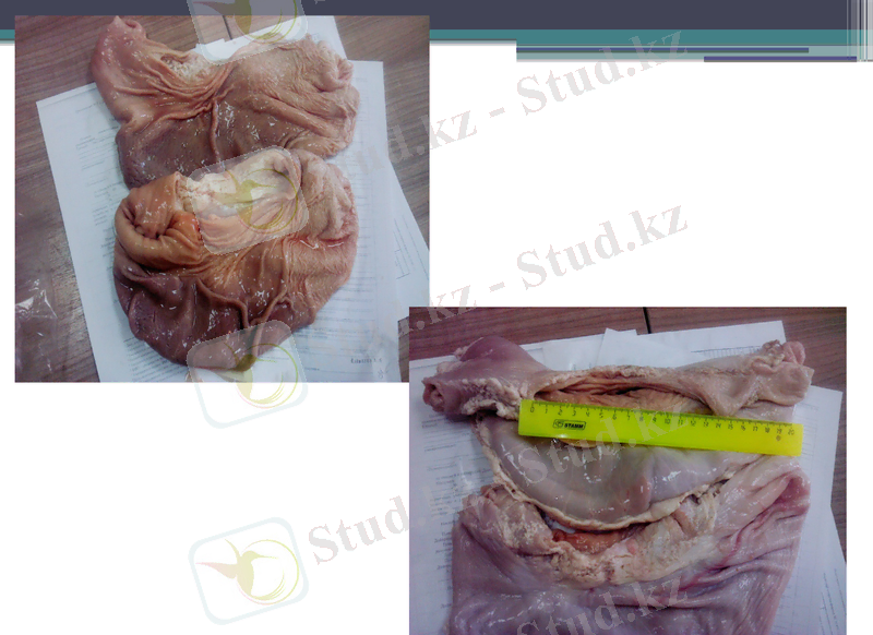 Slide 25
