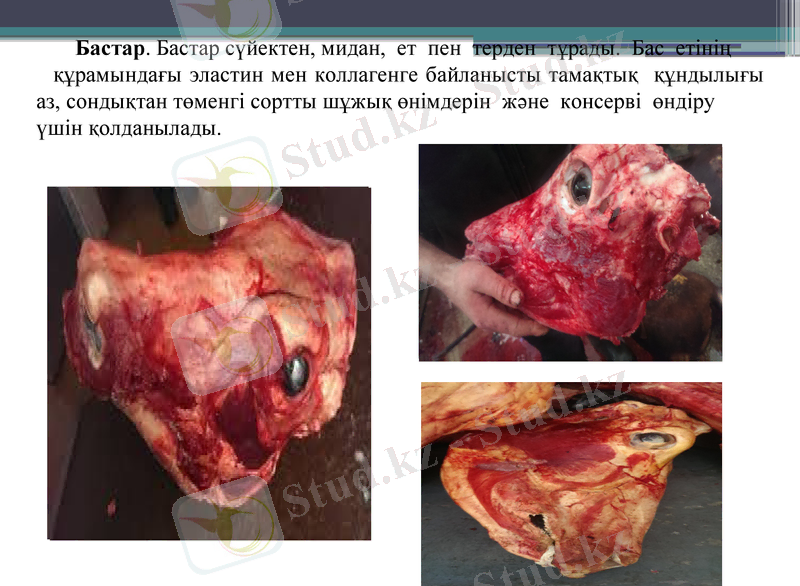 Slide 26