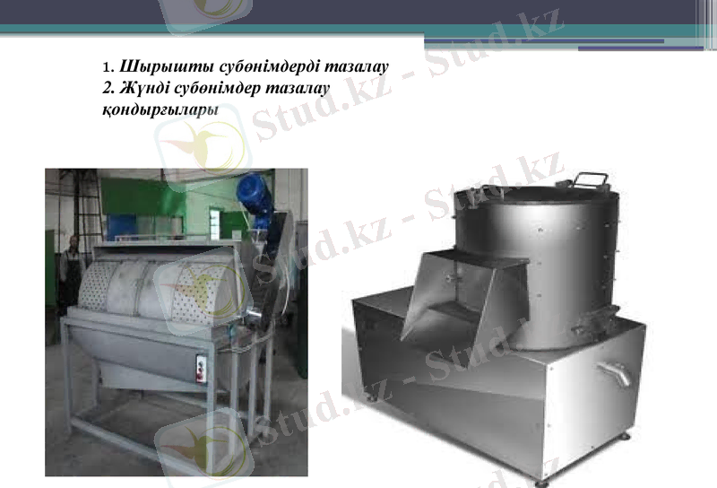 Slide 31