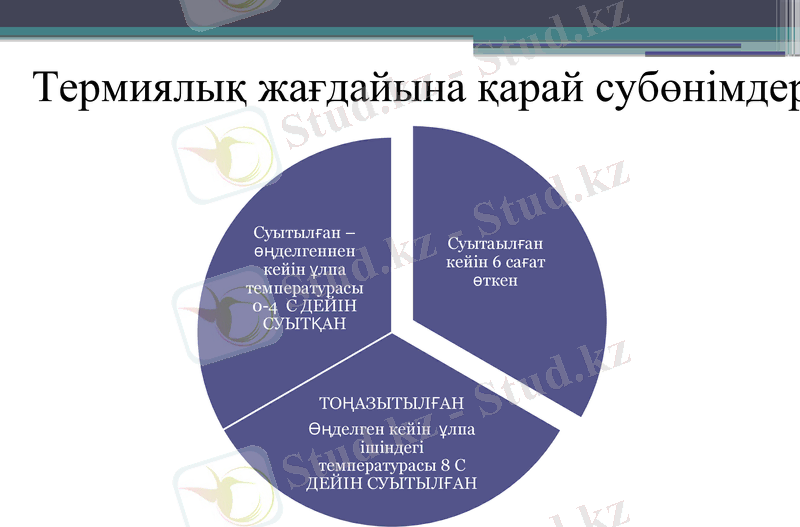 Slide 7