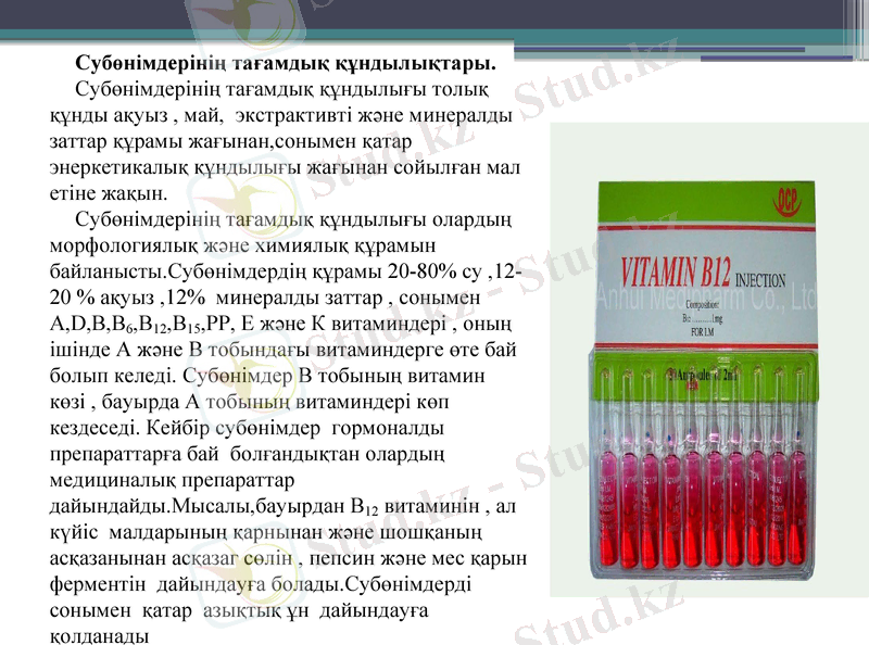 Slide 8