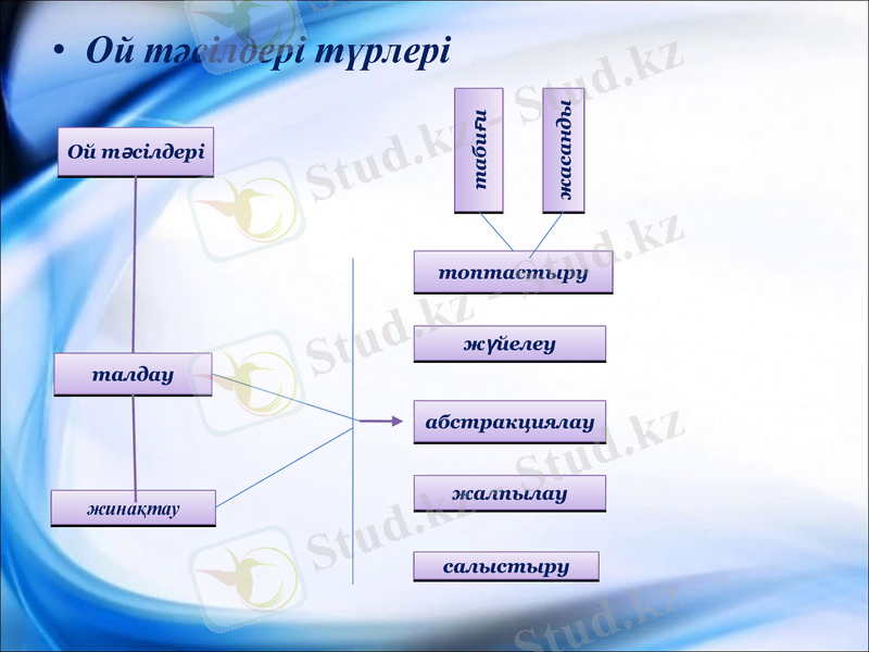 Slide 7