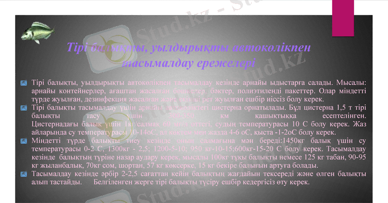 Slide 8