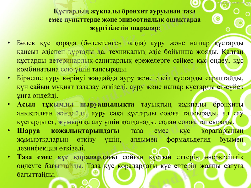 Slide 11