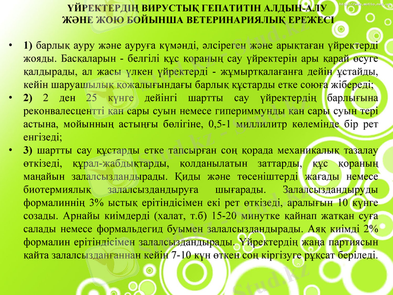Slide 13