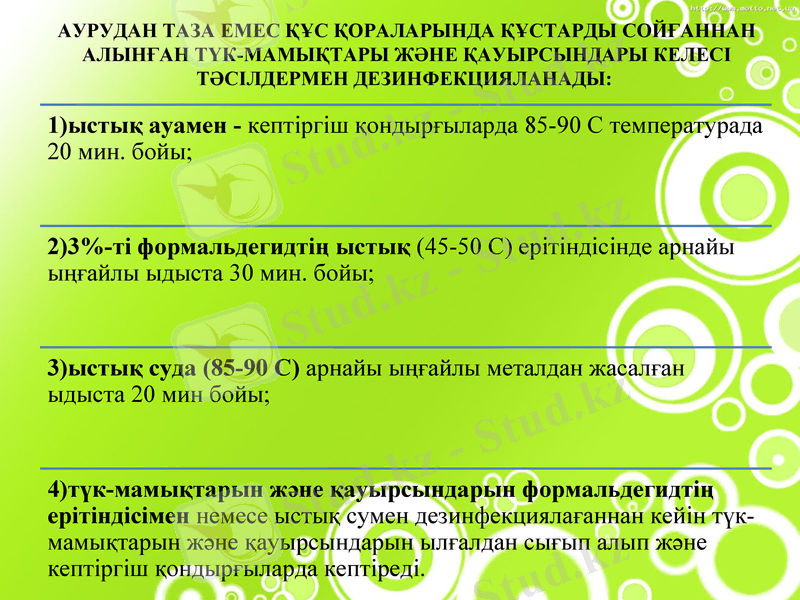 Slide 7