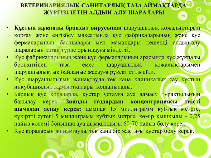 Slide 9