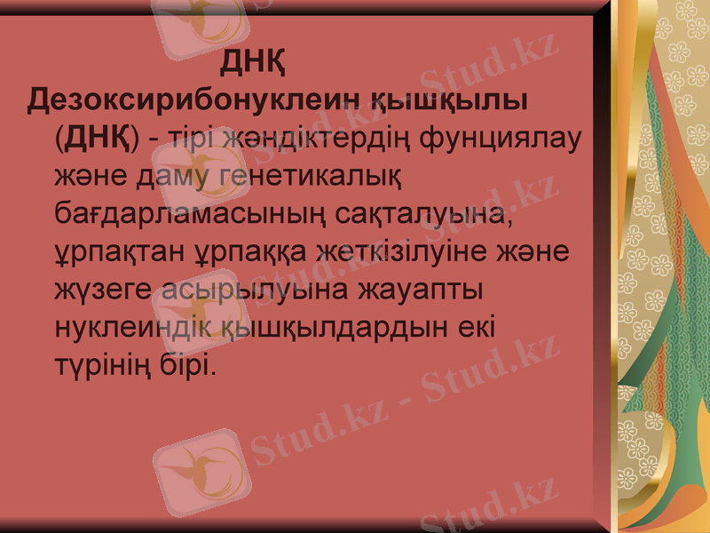 Slide 5