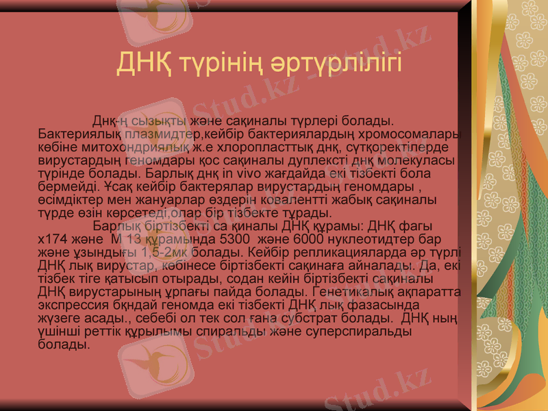 Slide 7