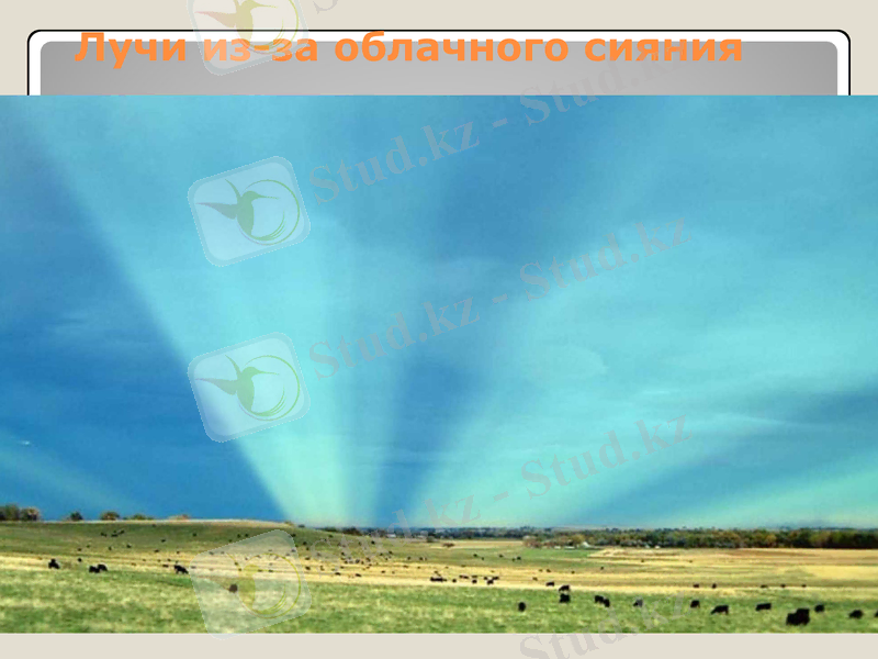 Slide 10