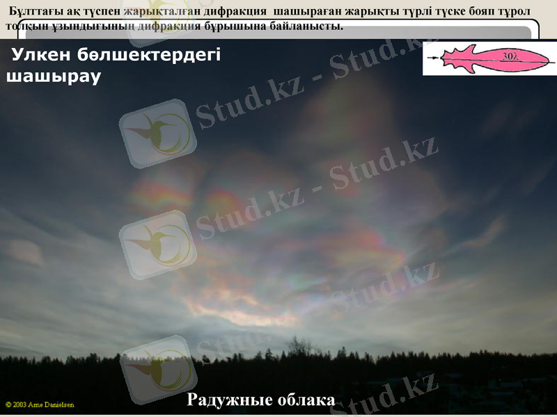Slide 13