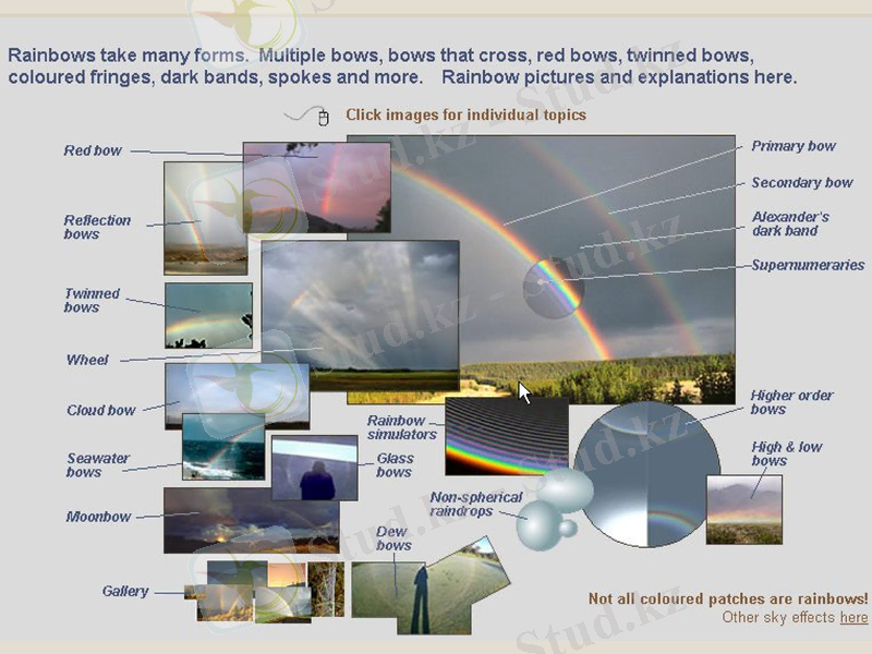 Slide 18