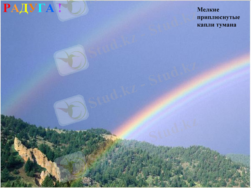 Slide 22