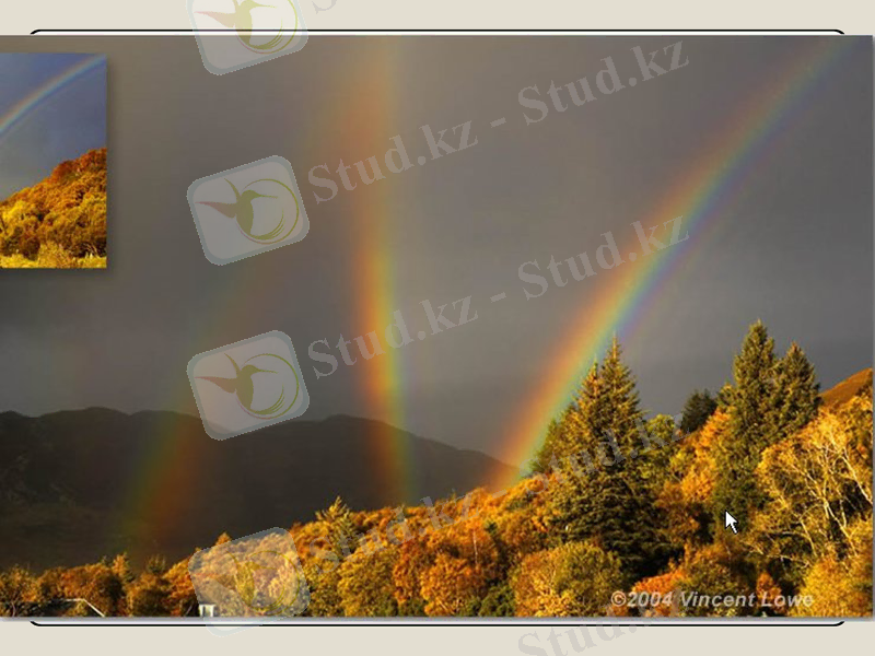 Slide 24