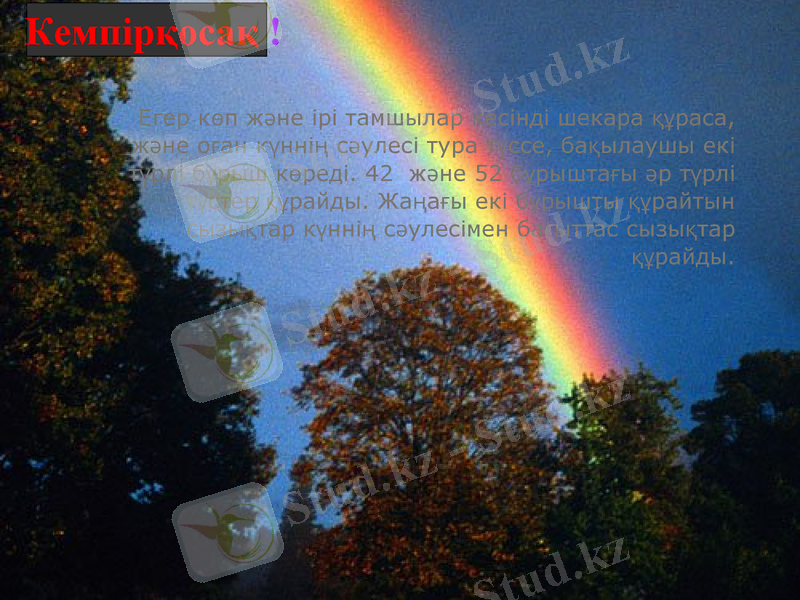 Slide 26