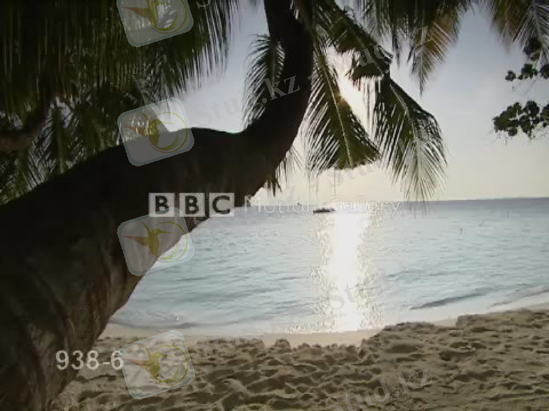 Slide 8