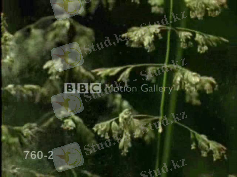 Slide 9